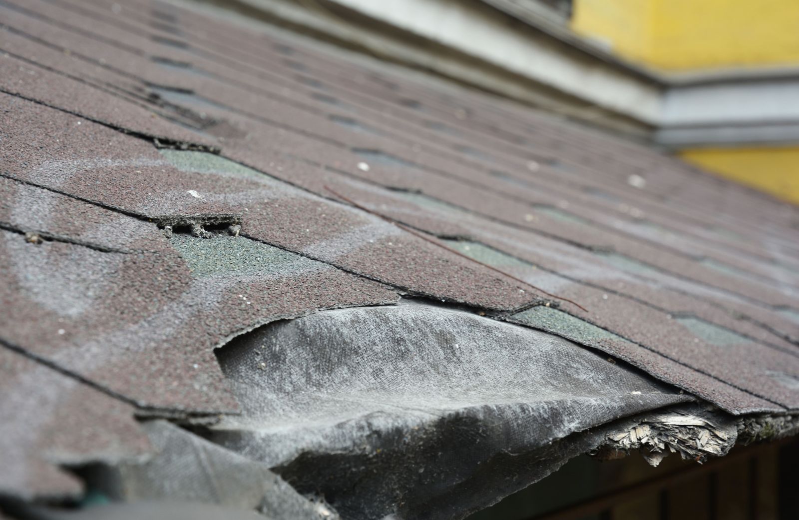 Top Line Roofing Images