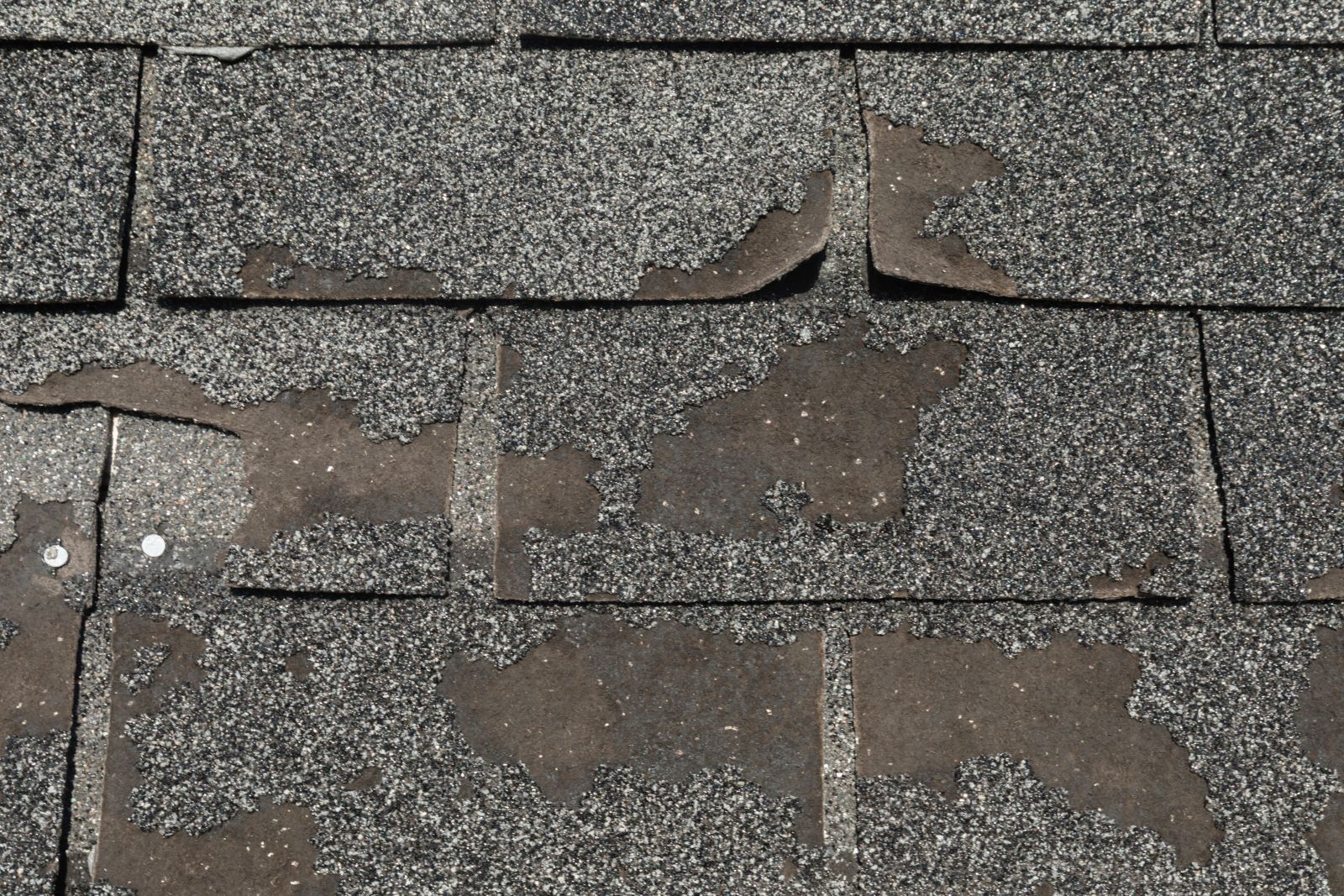 Top Line Roofing Images