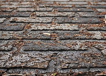 Top Line Roofing Images